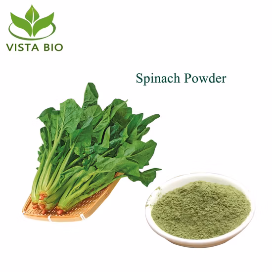 Organic 100% Nutual Vegetable Spinach Extract Juice Powder Spinach Powder