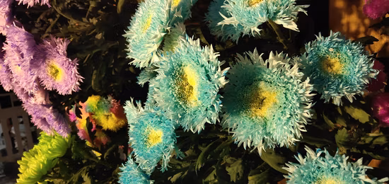 High Quality Supply Liver Eyesight Organic Natural Flower Tea Yellow Chrysanthemum Tea