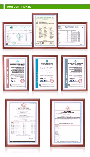 100% Water Soluble Organic Vegetable Juice Apium Graveolens Instant Powder/Celery Juice Powder