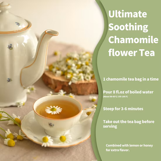 Organic Dried Chamomile Flower Tea for High Quality